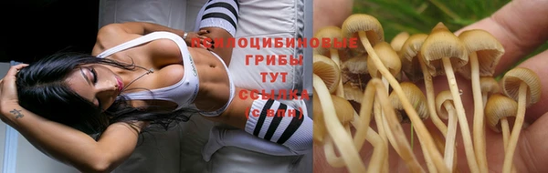 a pvp Абинск