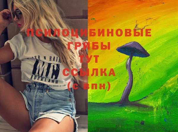 a pvp Абинск