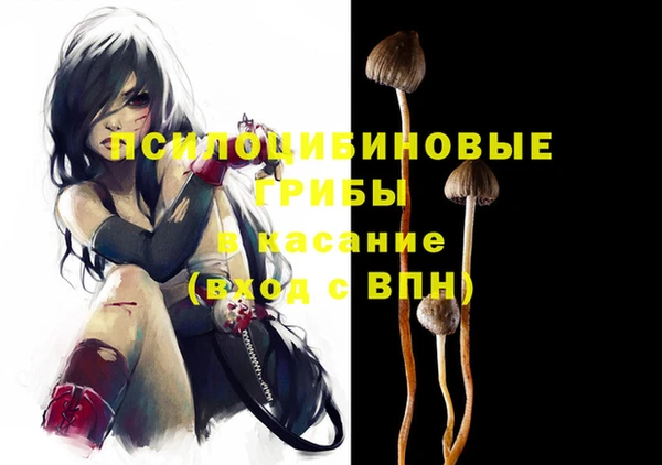 a pvp Абинск