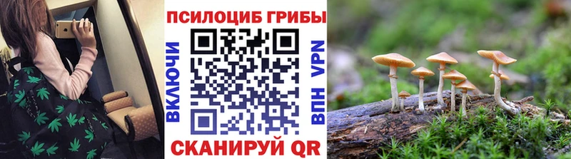MEGA   купить наркотик  Райчихинск  Псилоцибиновые грибы GOLDEN TEACHER 